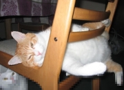 开云-当友谊赛的助攻遇见欧冠的星光，足球如何在不经意间改写叙事