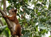 开云体育APP下载-逆转基因，从伯纳乌到AT&amp;T中心，跨越万里的体育精神共振