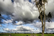 开云体育中国-他用石块砌墙，导演了一场荒漠里的溃败