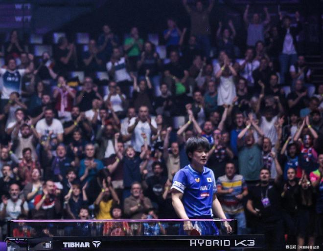 法国队逆转英格兰队，张本智和关键制胜