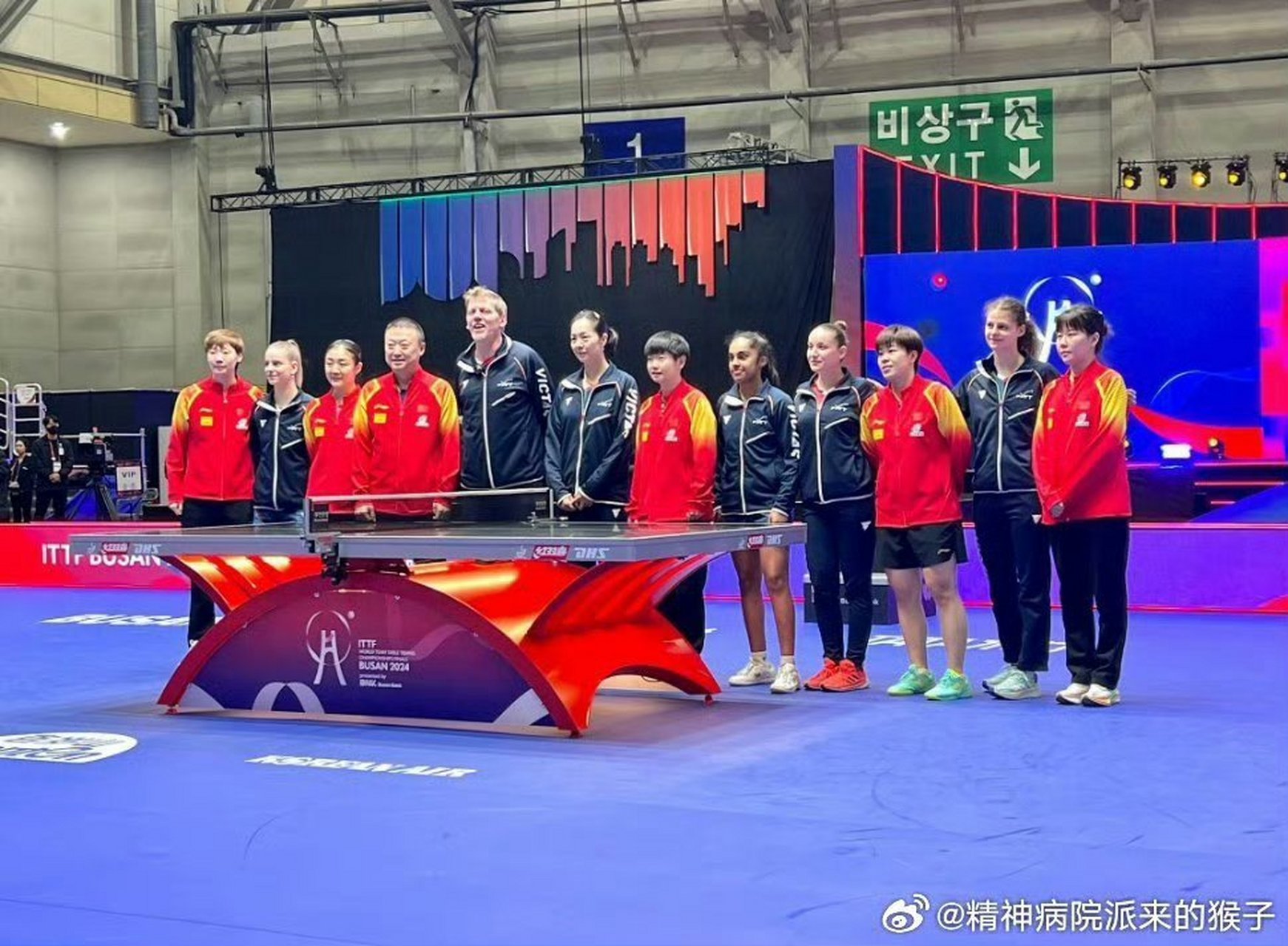 日本队轻取法国队，马琳统治全场