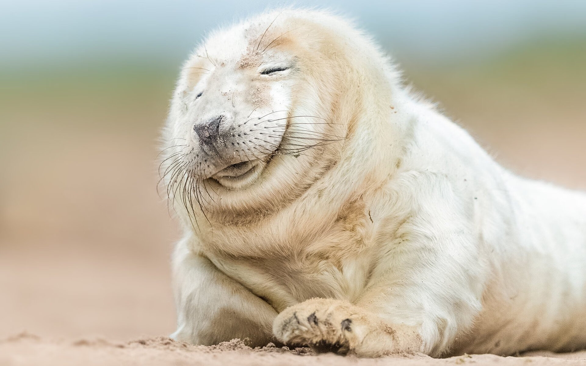 英超争冠风云骤变，塞内加尔加时绝杀比利亚雷亚尔点燃足球之夜