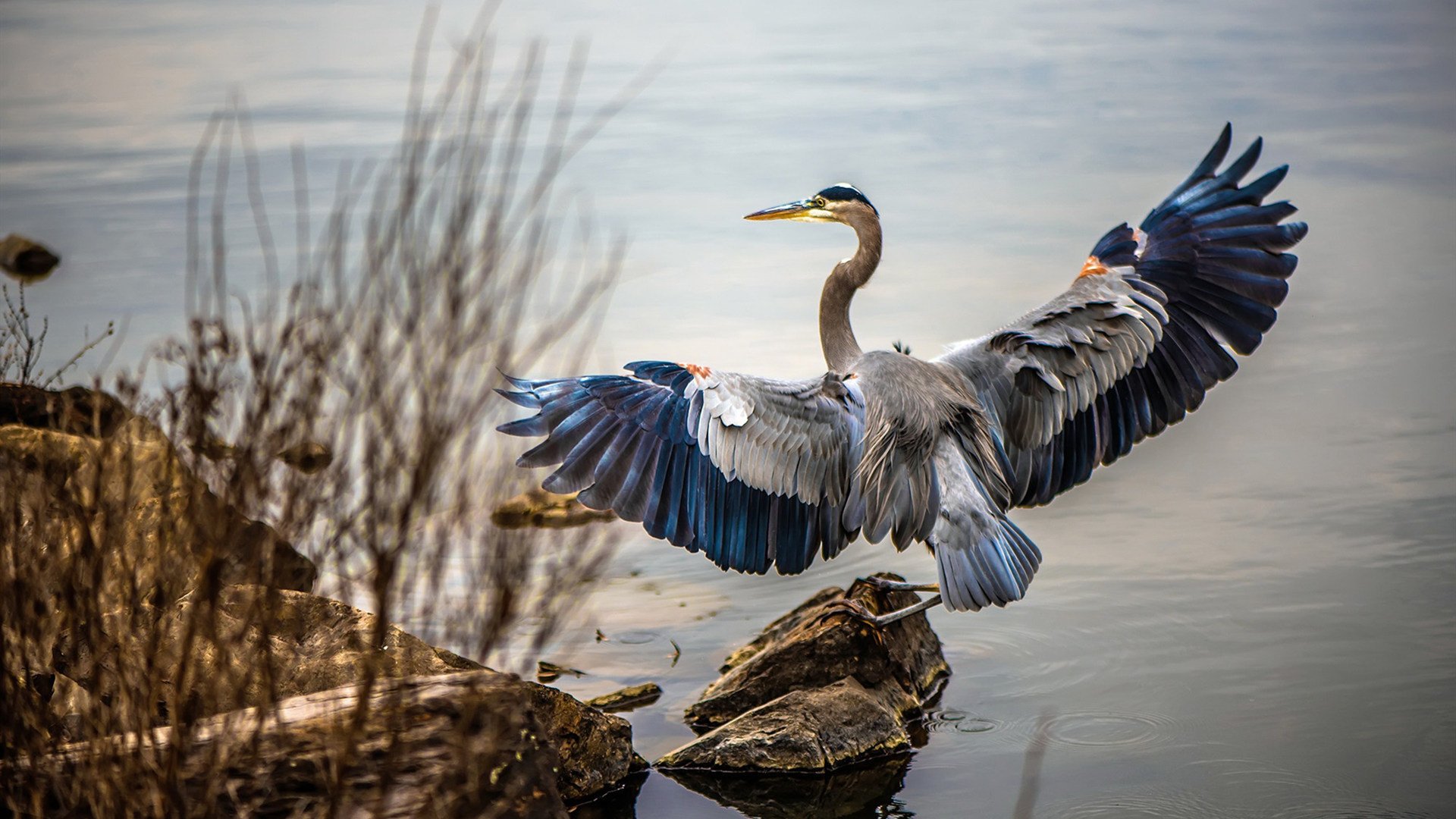 法比尼奥在生死战中成为上帝，摩纳哥斩落波兰一战的唯一性解读