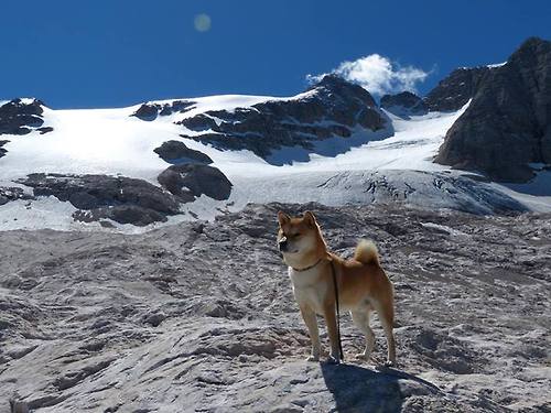 法比尼奥在生死战中成为上帝，摩纳哥斩落波兰一战的唯一性解读
