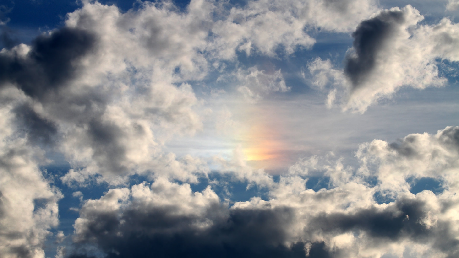 西决生死战风云,牙买加田径军团如何以速度之火压制突尼斯铁壁