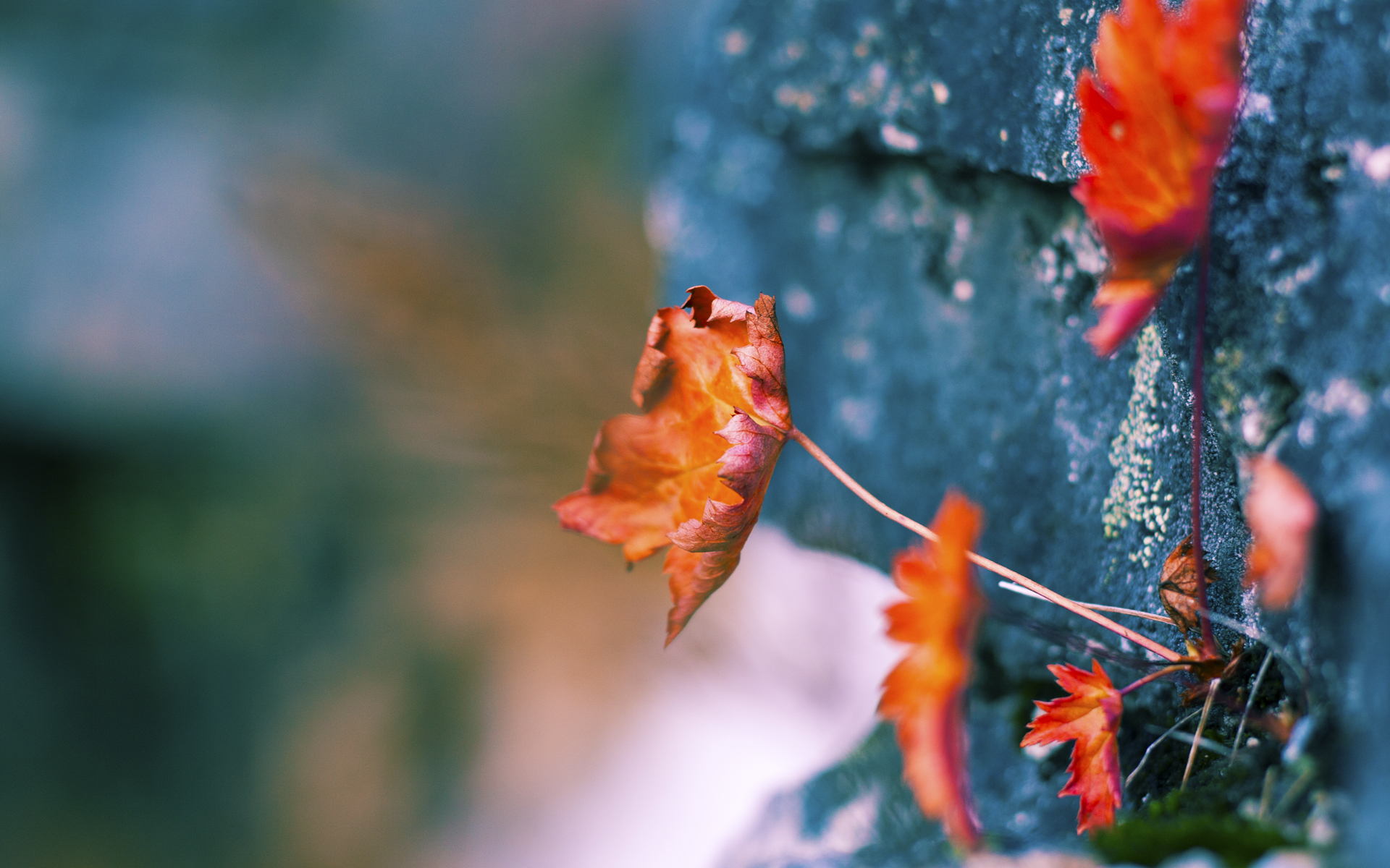 替补奇兵铸就经典!皮克临危受命化身定海神针,助曼联全面压制黄色潜水艇