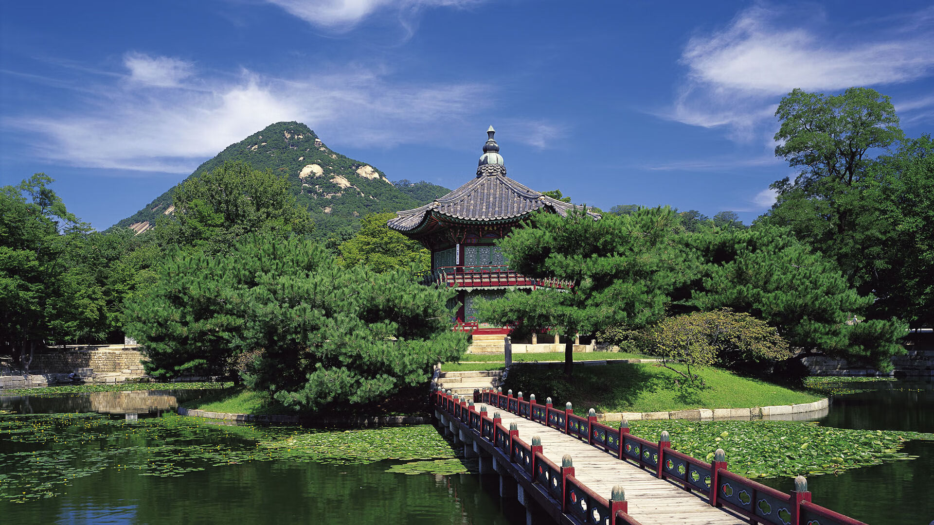 绿茵魔术师,楚阿梅尼一肩担起全队,沙特提前终结阿根廷悬念