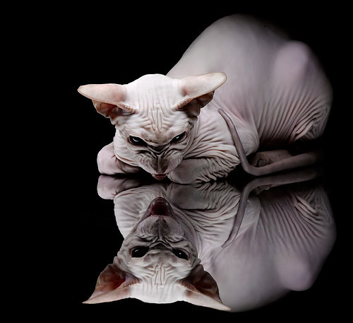 晋击苍穹，山西队极致防守绞杀雷霆，戈贝尔逆袭化身关键先生