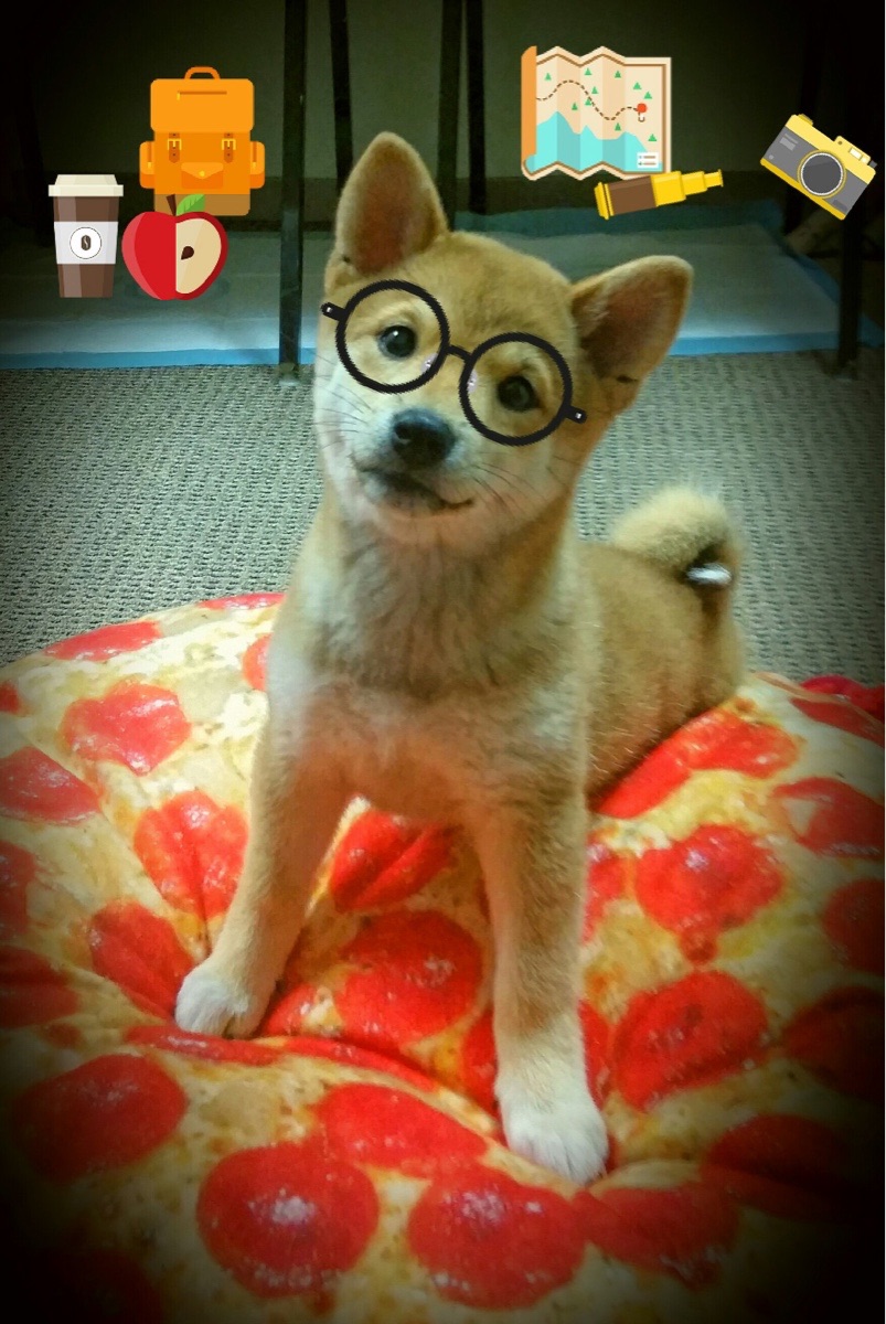 跨越时空的焦点,当甲骨文精神遇上世界杯大陆