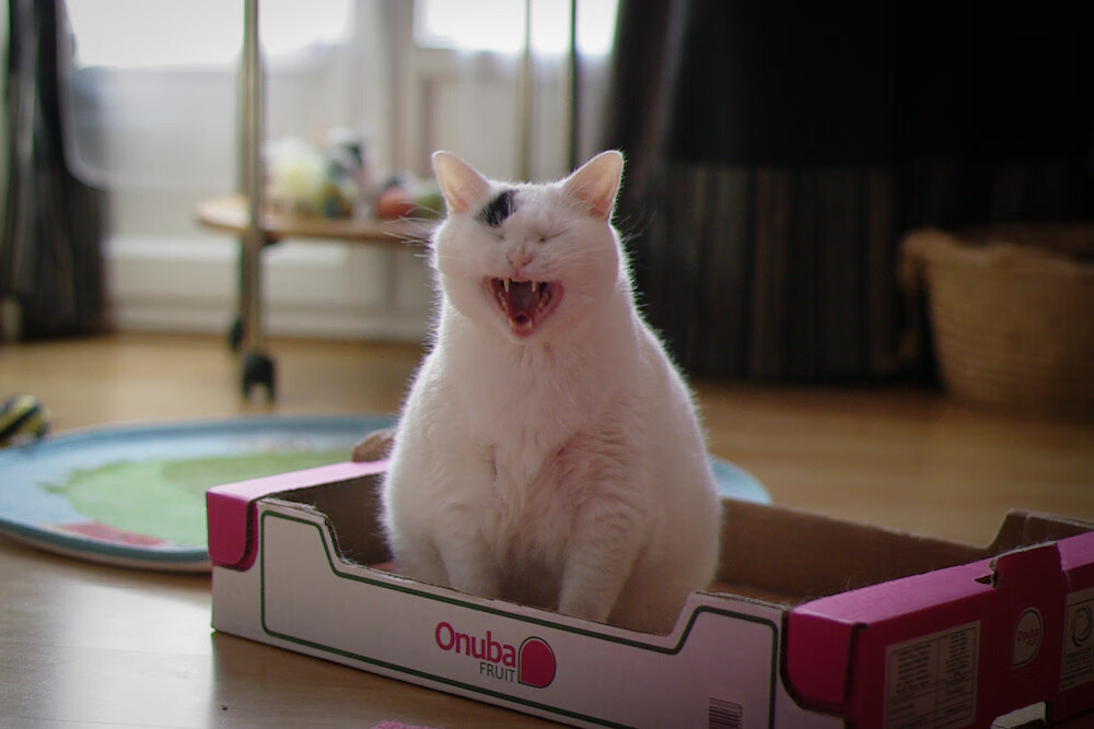 米切尔42分圣城燎原，马刺生死七秒斩落勇士