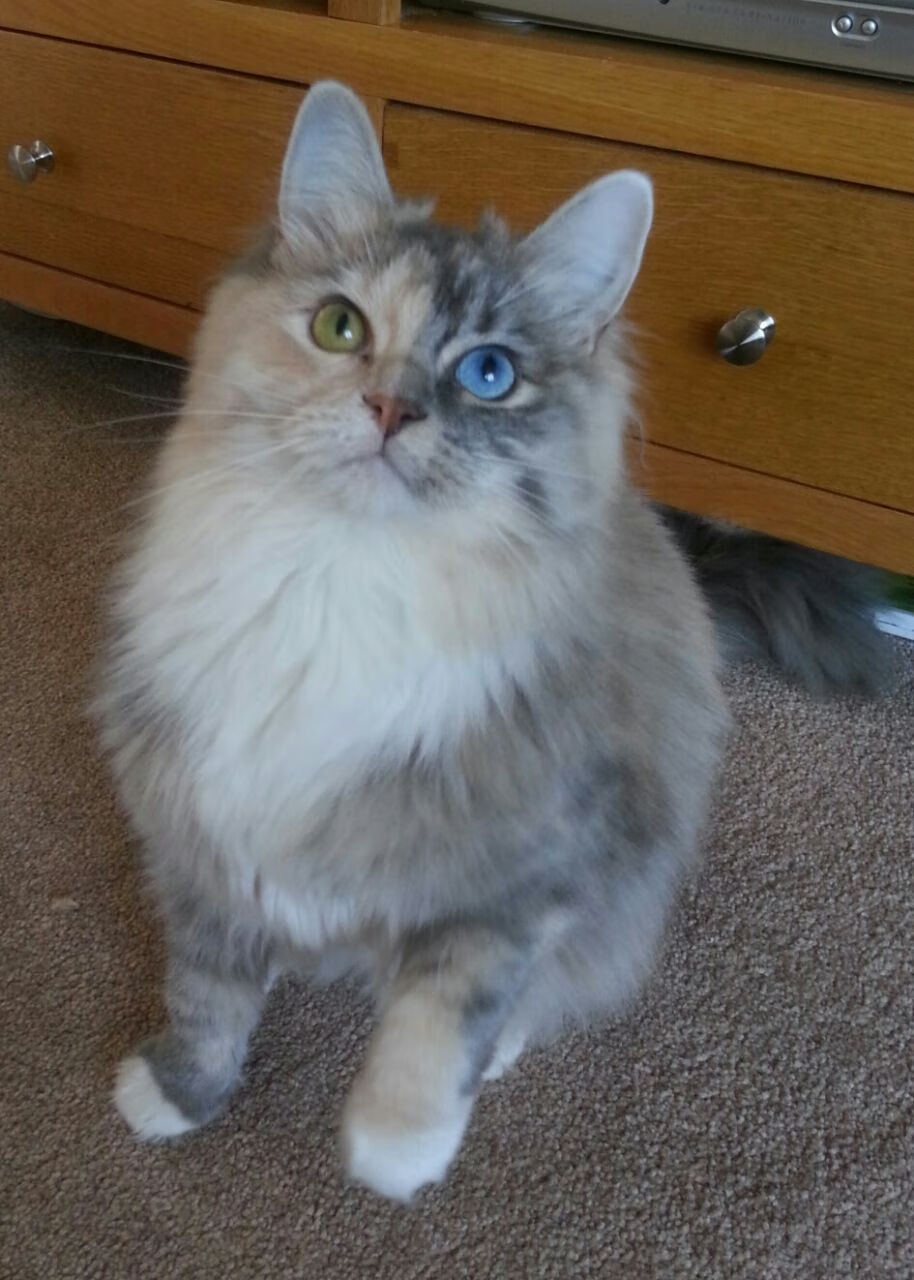 节奏大师，哈登带动全队节奏，尼克斯掌控节奏的艺术与马刺的传统