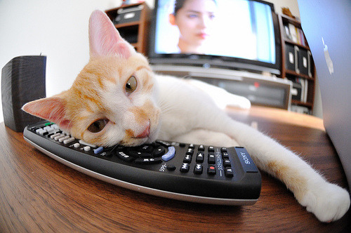 新王践踏旧主王座！杰伦·格林冠军级演出，让勒布朗的回家之夜沦为背景