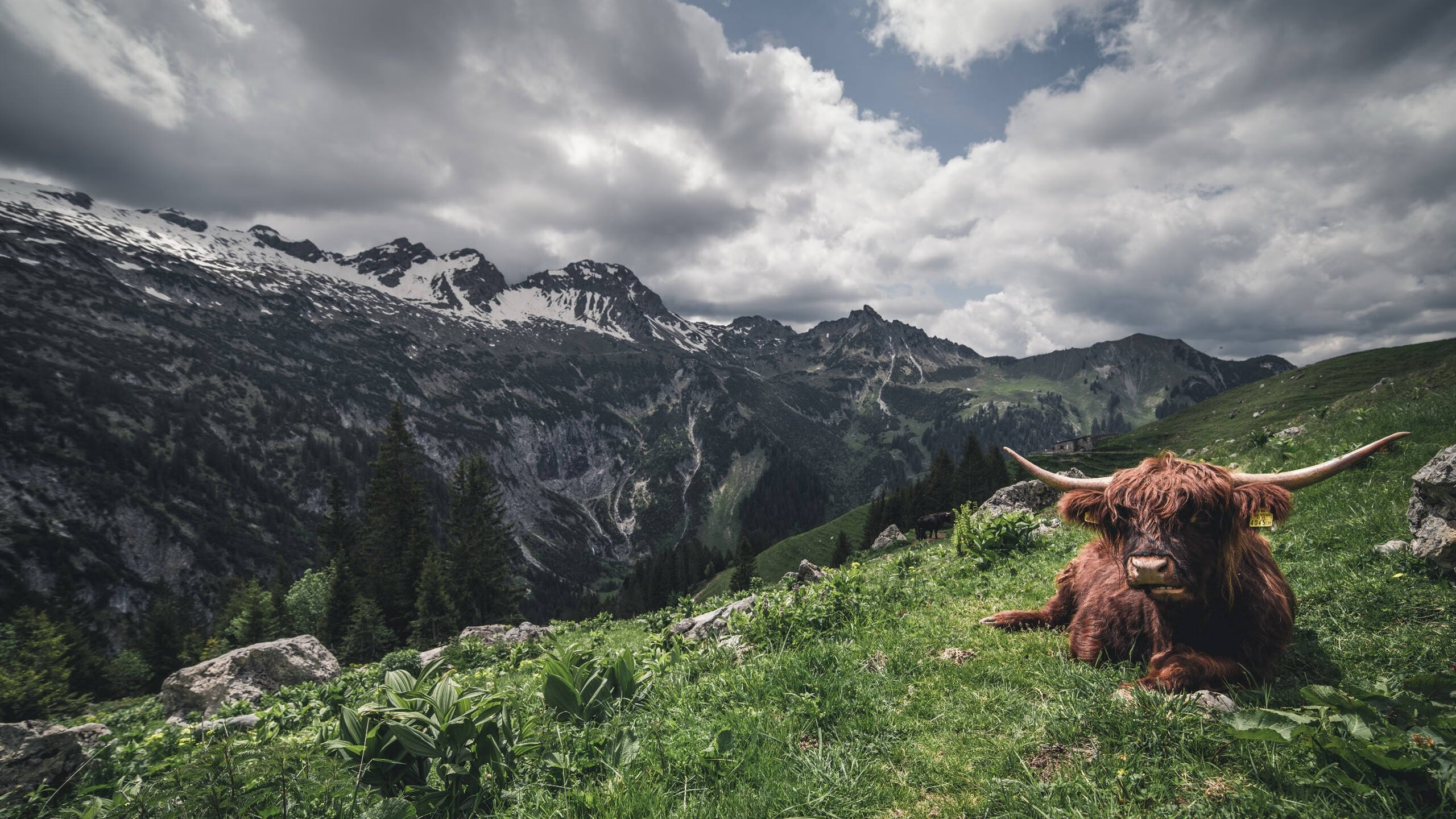 决战之心，从伊斯坦布尔之夜到CBA疆场，一切胜利都源于准备与本能的切换