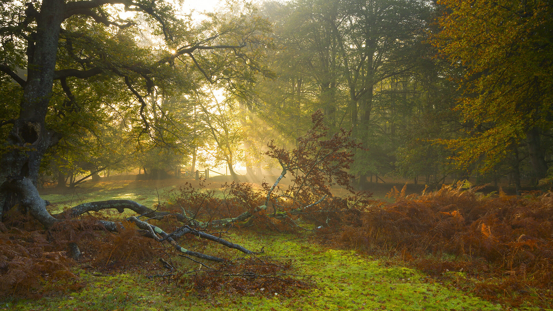 当火箭射落太阳，世界排名争夺战上的决胜局神话