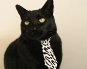 意式惊雷击碎南美高原梦,若日尼奥的德黑兰奇幻夜