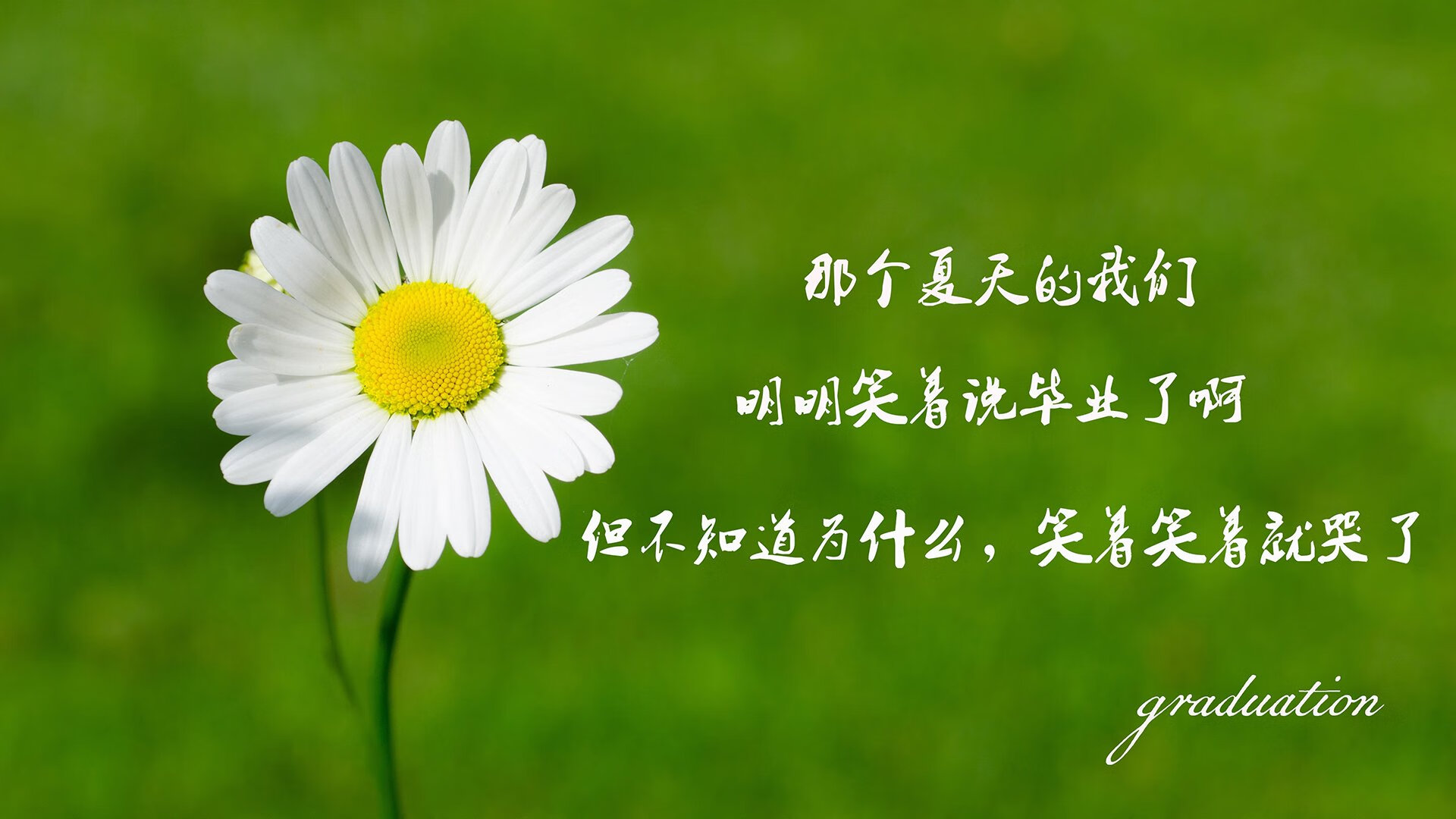 孤星耀世,2026世界杯C组,哥伦比亚横扫罗马尼亚,格列兹曼的最后一舞写就唯一传奇